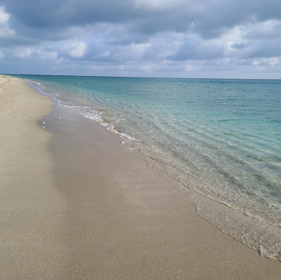 Meet your Posher, Mj - Picture 8 of 8